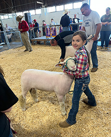 Brasfield Club Lambs Winners