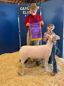 Brasfield Club Lambs Winners