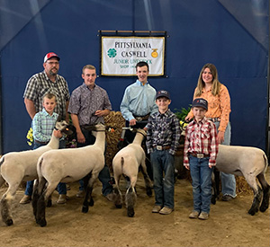 Brasfield Club Lambs Winners