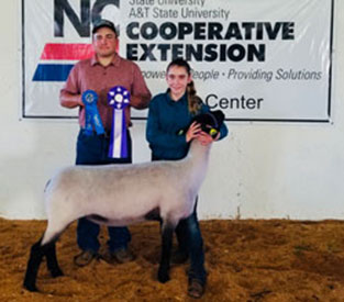 Brasfield Club Lambs Winners
