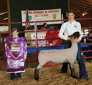 Brasfield Club Lambs Winners