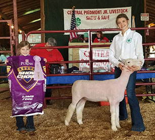 Brasfield Club Lambs Winners