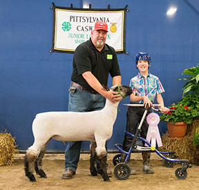Brasfield Club Lambs Winners