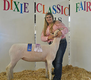 Brasfield Club Lambs Winners