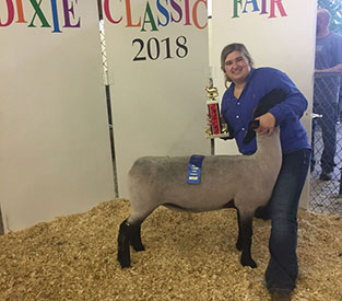 Brasfield Club Lambs Winners