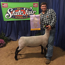 Brasfield Club Lambs Winners