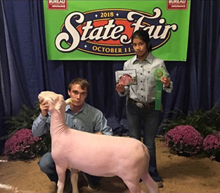 Brasfield Club Lambs Winners