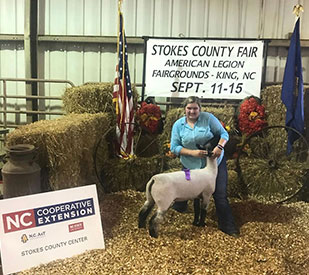 Brasfield Club Lambs Winners